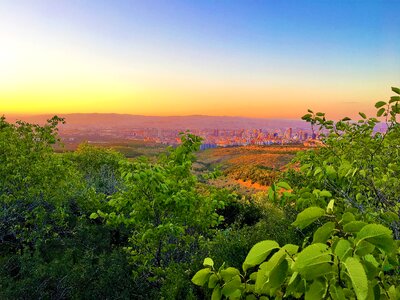 Greens nature sky photo