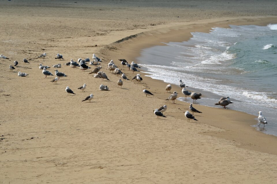 Sand to the beach to see Free photos