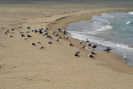 Sand to the beach to see Free photos