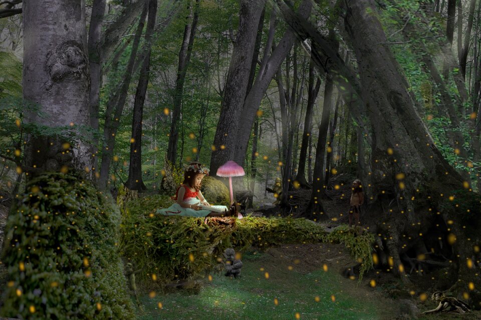 Forest fantasia magic