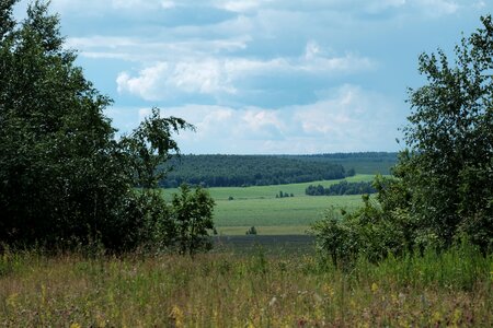 Landscape open space summer