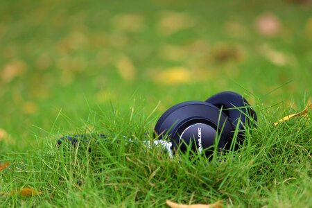 Green music connection