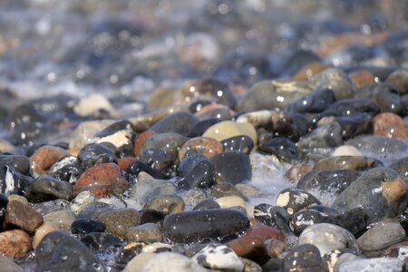 Stone sea pebble photo