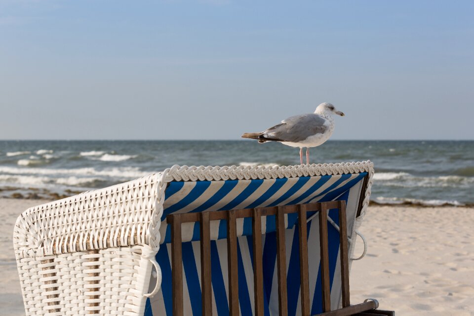 Beach vacations summer
