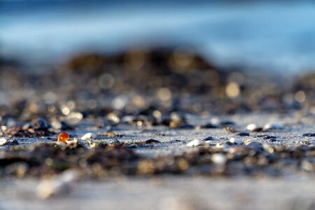 Gem shell beach