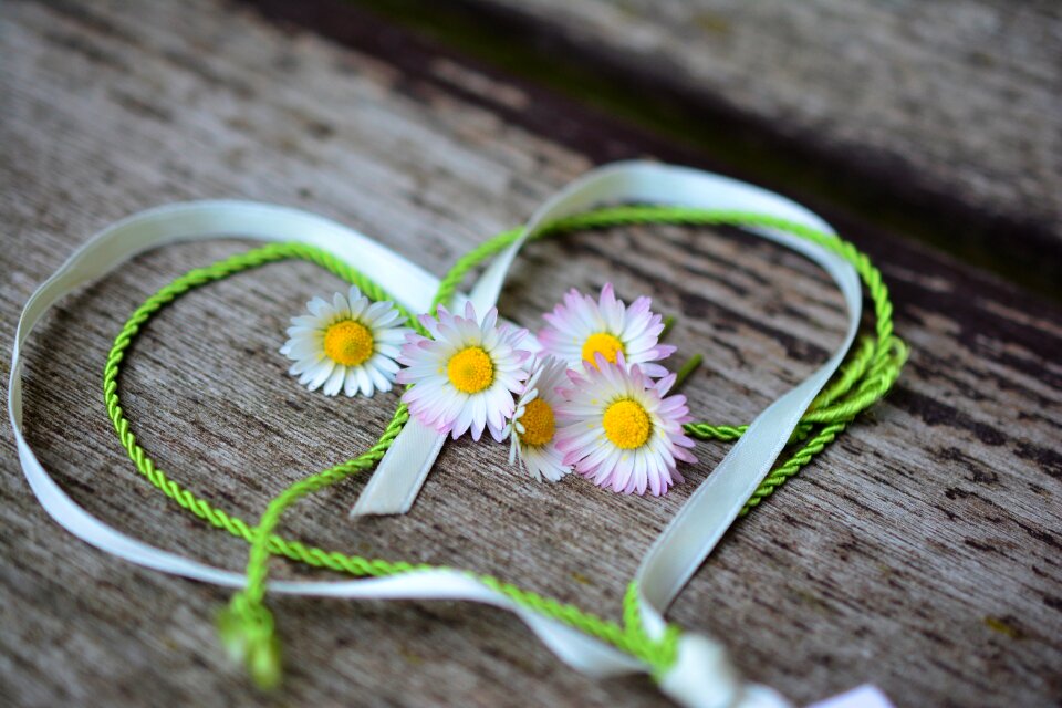 Valentine's day love spring