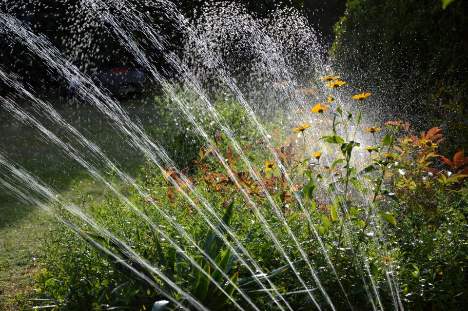 Sprinkler drop of water artificial