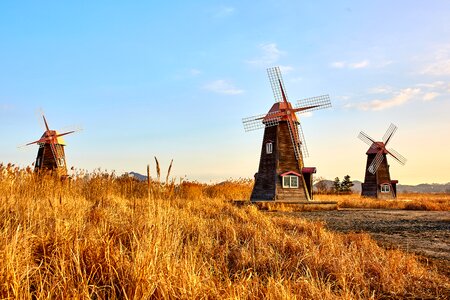 Architecture landscape wind