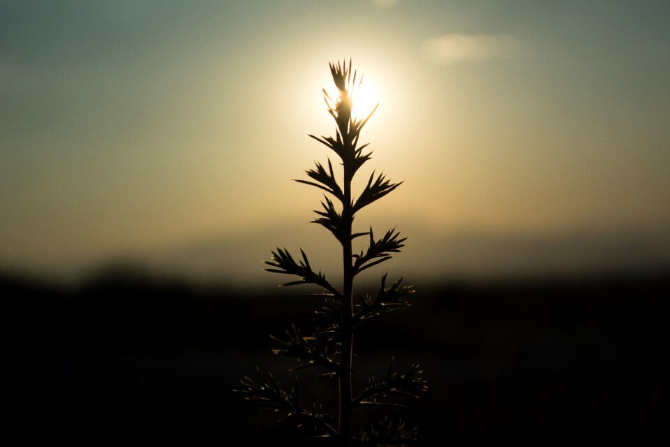 Dawn sun outdoors
