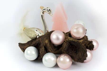 Driftwood christmas trend