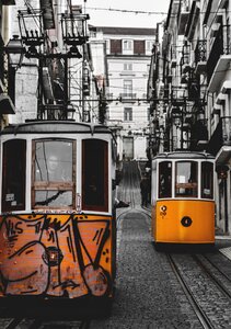 The lisbon trams old the old tram photo