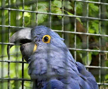 Blue bird park marlow pretty
