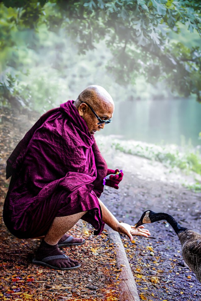 Mahathera feed compassion