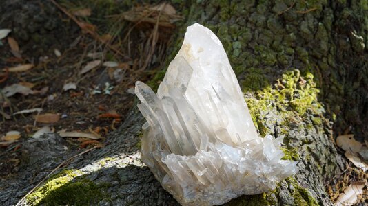 Crystals natural organic