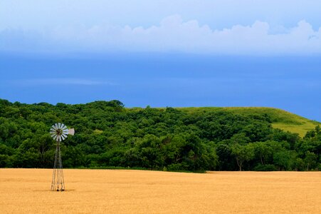 Windmill wheat field