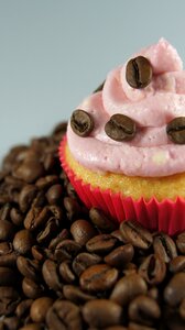 Cake food cupcake