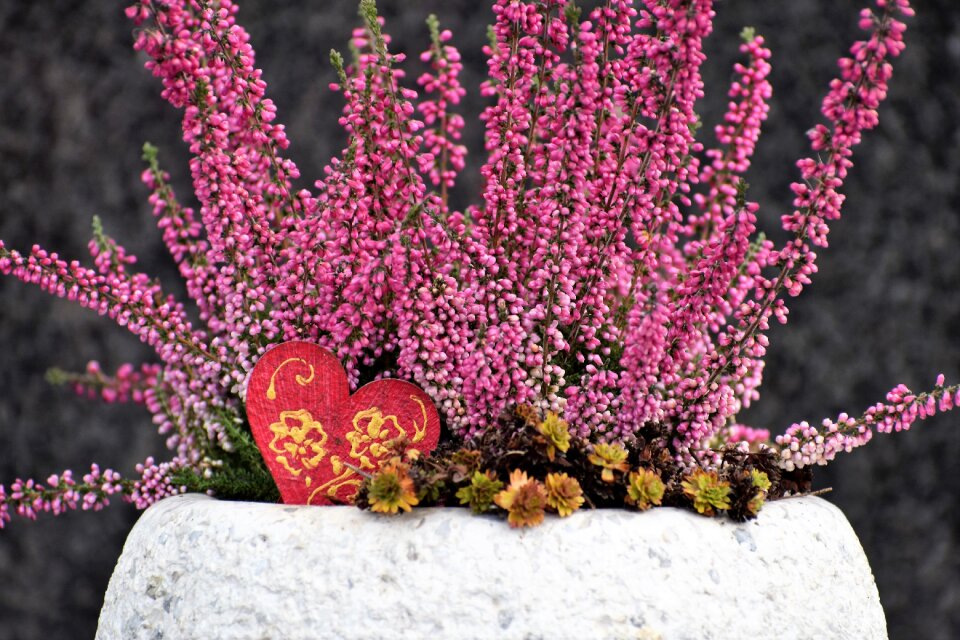 Decoration colorful autumn