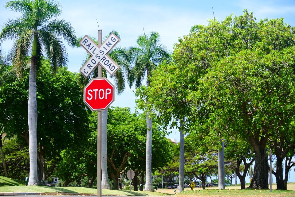 Hawaii ko'olina green cross