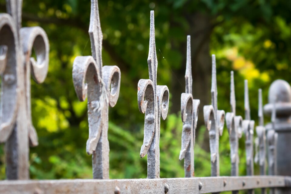 Border blacksmithing wrought iron
