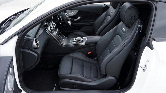 Vehicle automobile leather