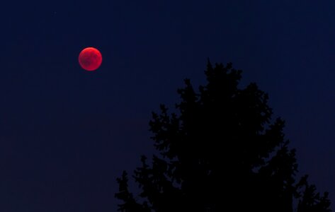 Blood moon full moon lunar