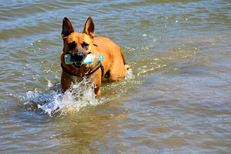 Water toy bath friend