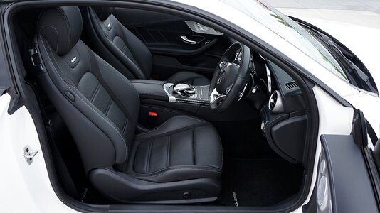Vehicle automobile leather