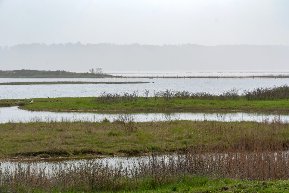 Body of water nature field