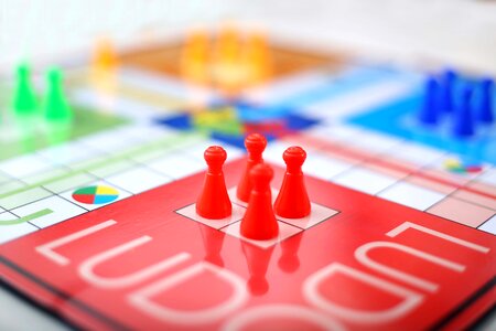 Picture ludo game