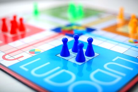Picture ludo game