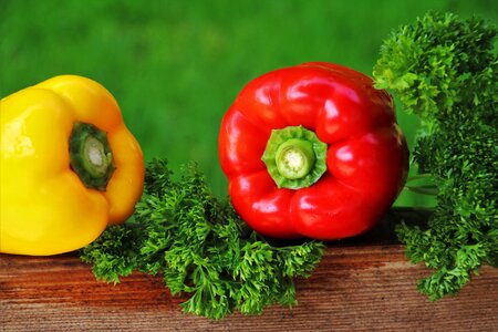 The freshness sweet peppers the richness of photo