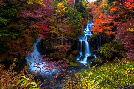 Waterfall autumnal leaves japan photo