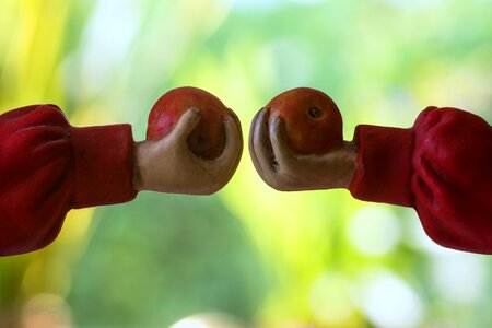 Poor healthy fruit