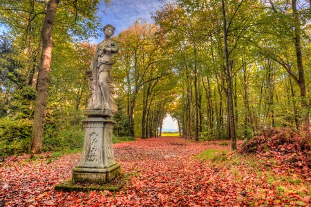 Autumn nature fantasy
