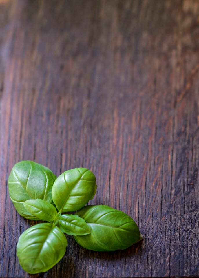 Food fresh green