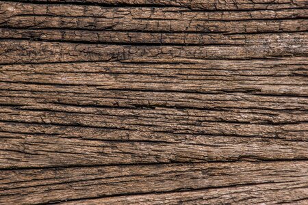 Veins ancient structure