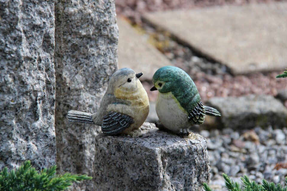 Idyll togetherness bird