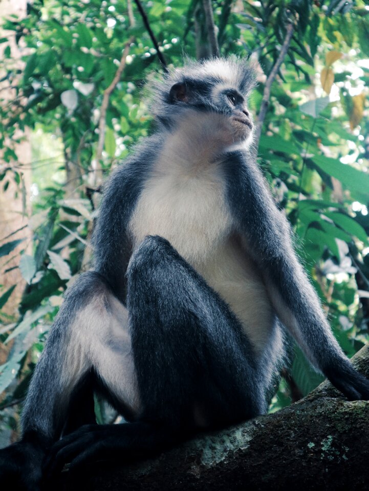 Tourism exotic animal