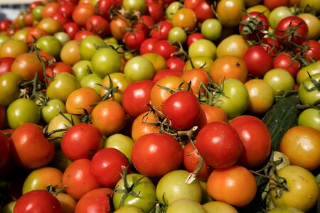 Food healthy fresh