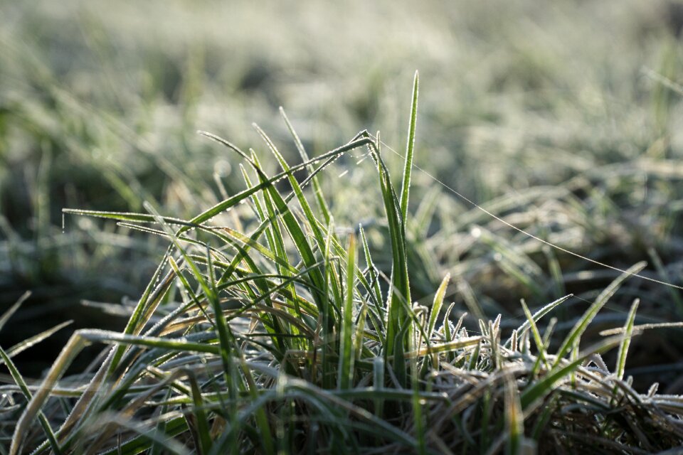 Field outdoors ice