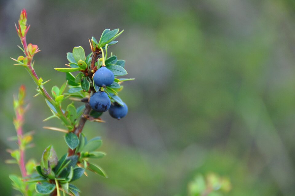 Ecology environmental blue