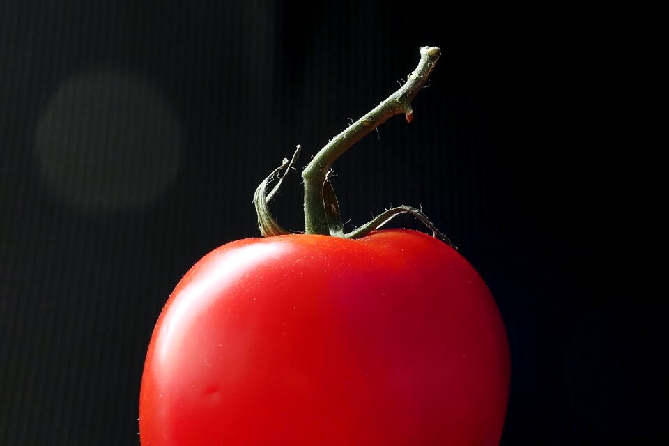 Healthy tomatoes fresh
