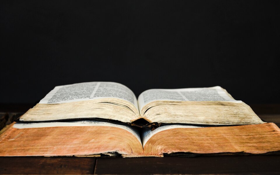 Library education bible