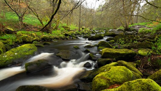 Stream flowing water beautiful