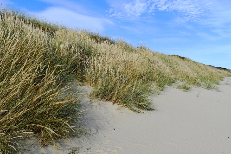 Summer ocean sand