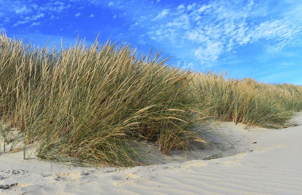 Summer ocean sand