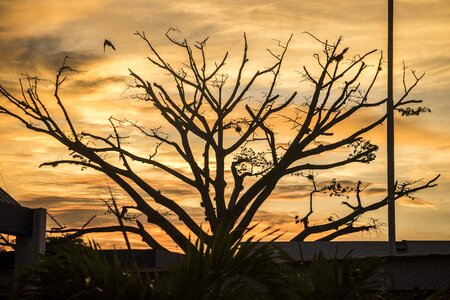Landscape sunrise light