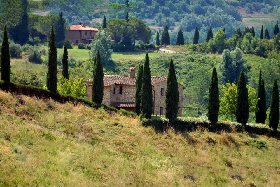 House landscape nature
