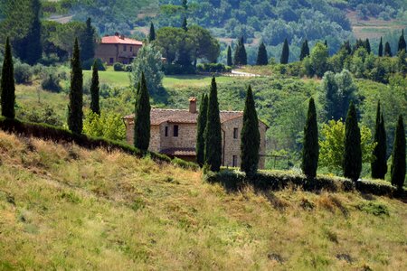 House landscape nature photo