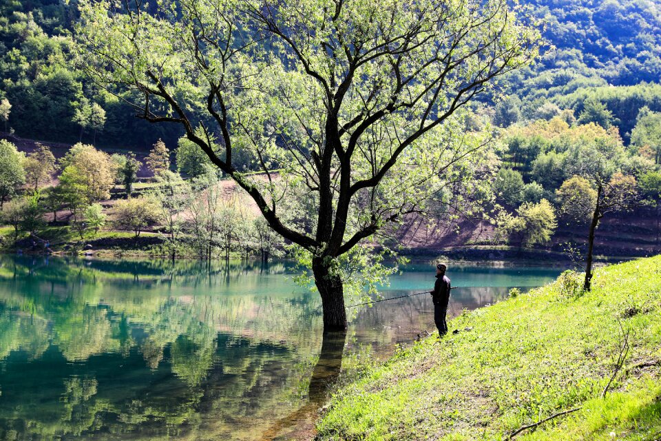 Landscape lake nature